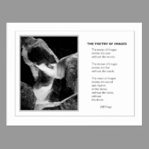 THE POETRY OF IMAGES postcards