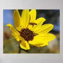 The Polinator Print