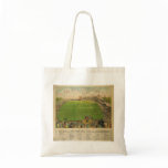 The Polo Grounds Baseball Stadium in 1887 bags