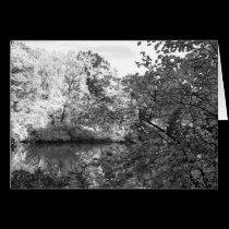 The Pond at Central Park cards