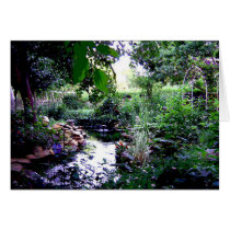 the pond cards by picturepizzazz the pond cards