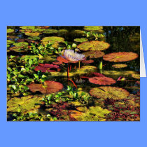 "The Pond" Greeting Card cards