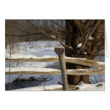 The Pond in Winter Card