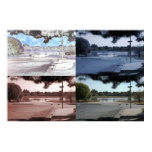 andy, warhal, ansel, adams, nature, pop, art,