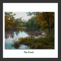 The Pond posters