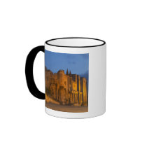 The Pope's Palace in Avignon at sunset. Built Coffee Mug