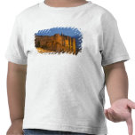 The Pope's Palace in Avignon at sunset. Built t-shirts