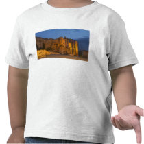 The Pope's Palace in Avignon at sunset. Built T-shirts