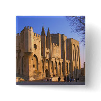 The Pope's Palace in Avignon with people Pin