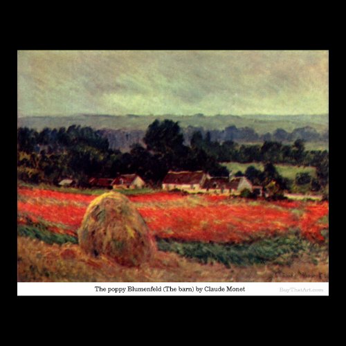 The poppy Blumenfeld (The barn) by Claude Monet Print