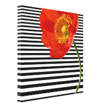 The Poppy Gallery Wrapped Canvas