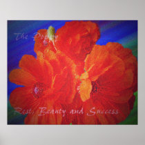 The Poppy Poster posters