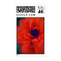 The Poppy Stamp
