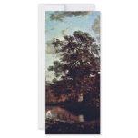 The Poringland Oak By Birth Name (Best Quality) Rack Card