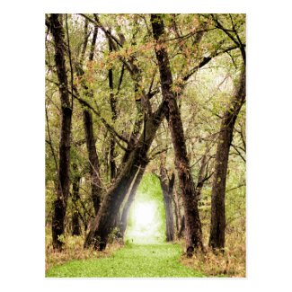 "The Portal" Photography Postcard