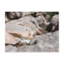 The Potholes Postcards
