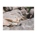The Potholes postcards