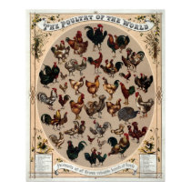 The poultry of the world print