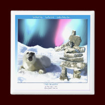 "THE PRAYER ~ Save Our Seals!"  Magnets