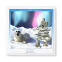 "THE PRAYER ~ Save Our Seals!"  Magnets
