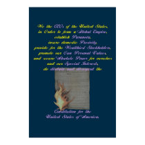 The Preamble Rewritten posters