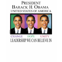 THE PRESIDENT OF THE USA t-shirts