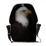 'The Prestigous Bald Eagle' Courier Bags