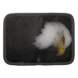 'The Prestigous Bald Eagle' Planner