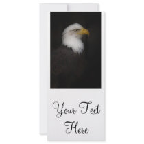 'The Prestigous Bald Eagle' Full Color Rack Card