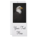 'The Prestigous Bald Eagle' rack cards