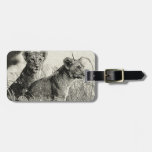 The pride Hand Drawing Tags For Luggage