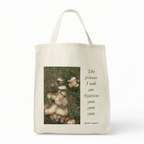 the princes I seek Tote Bag