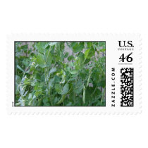 The Princess and the Pea postage