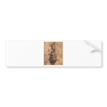 The Principle Organs and Vascular and Urino-Genita Bumper Stickers
