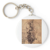 The Principle Organs and Vascular and Urino-Genita Key Chain