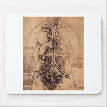 The Principle Organs and Vascular and Urino-Genita Mouse Mats