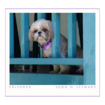 The Prisoner posters