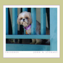 The Prisoner posters