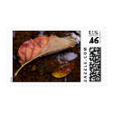 the prospector postage by blacqbook the prospector postage
