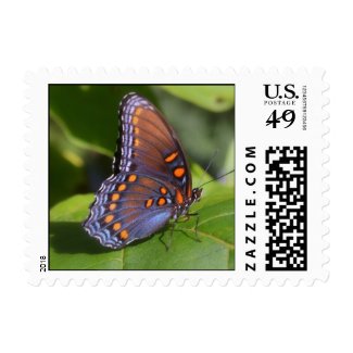 "The Proud One" Butterfly Photography Stamps
