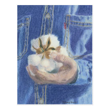 The Provider Post Card