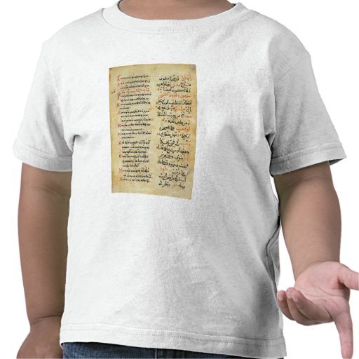 The Psalms of the Prophet David Tee Shirts