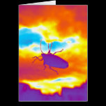 The Psychedelic Bug cards