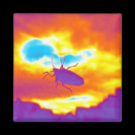 The Psychedelic Bug magnets