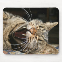 The Puddy Cat Mousepad