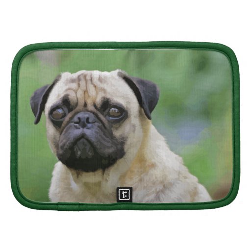 The Pug Dog Organizers