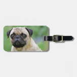 The Pug Dog Tags For Bags