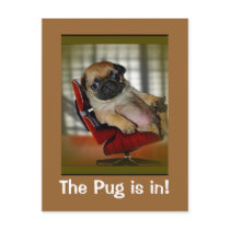 The Pug is in! Postcards