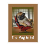 The Pug is in! Postcards