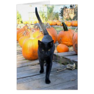 The Pumpkin Guardian Cat Halloween Greeting Card